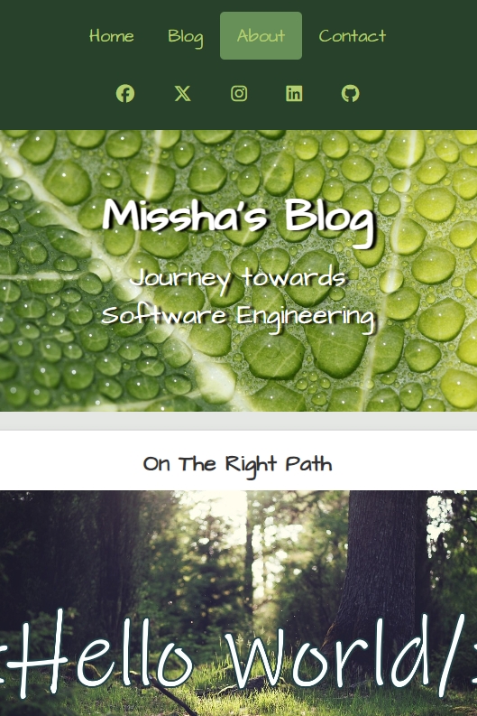 Responsive Blog using Grid and Flexbox